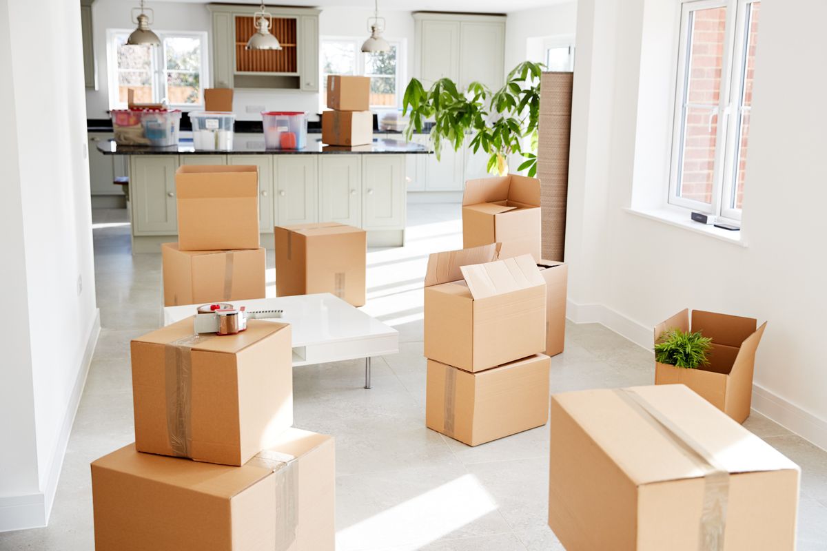 professional movers montreal